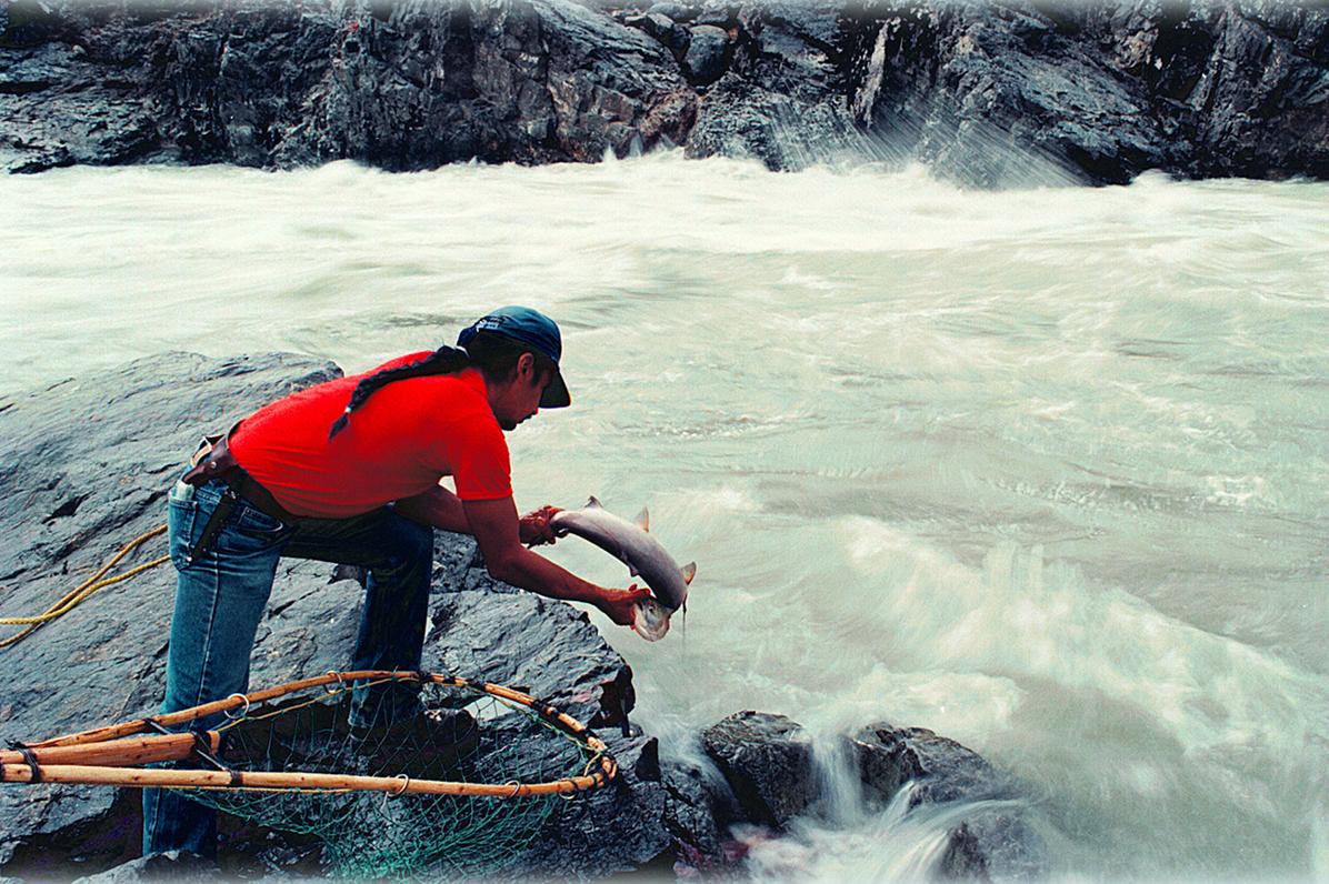 A person catching a fish off the side of a boat