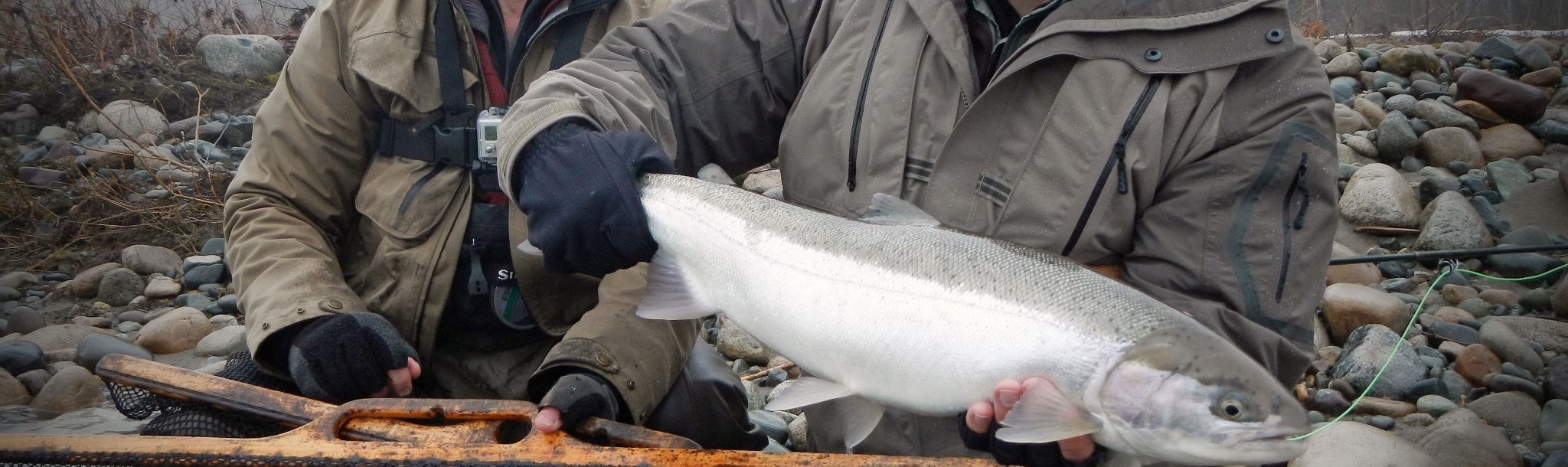 Men holding a salmon Westcoast Fishing Adventures