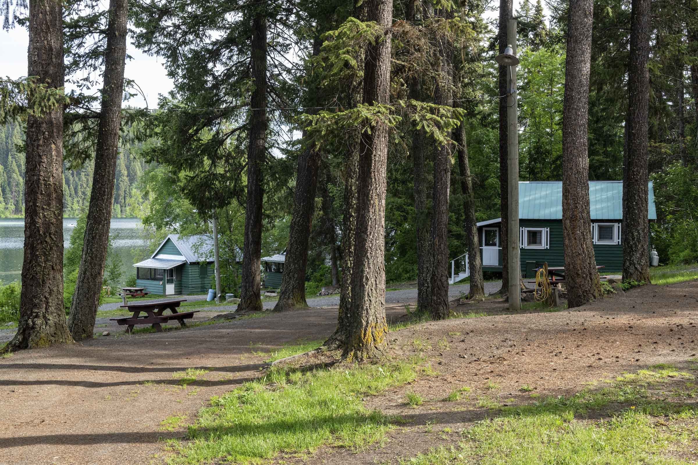 Forest View of Outside of Cabin at Sulphurous Lake Resort