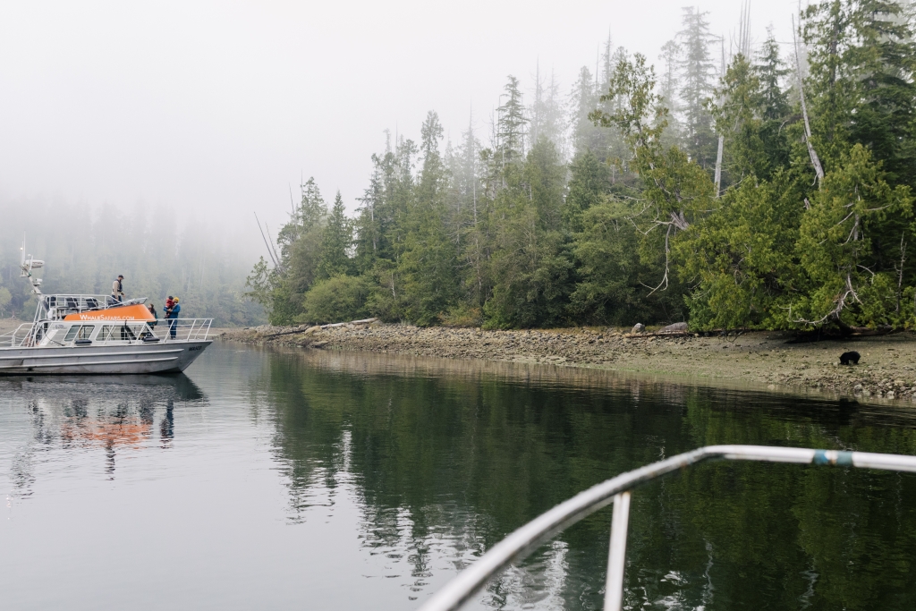 Clayoquot Wild