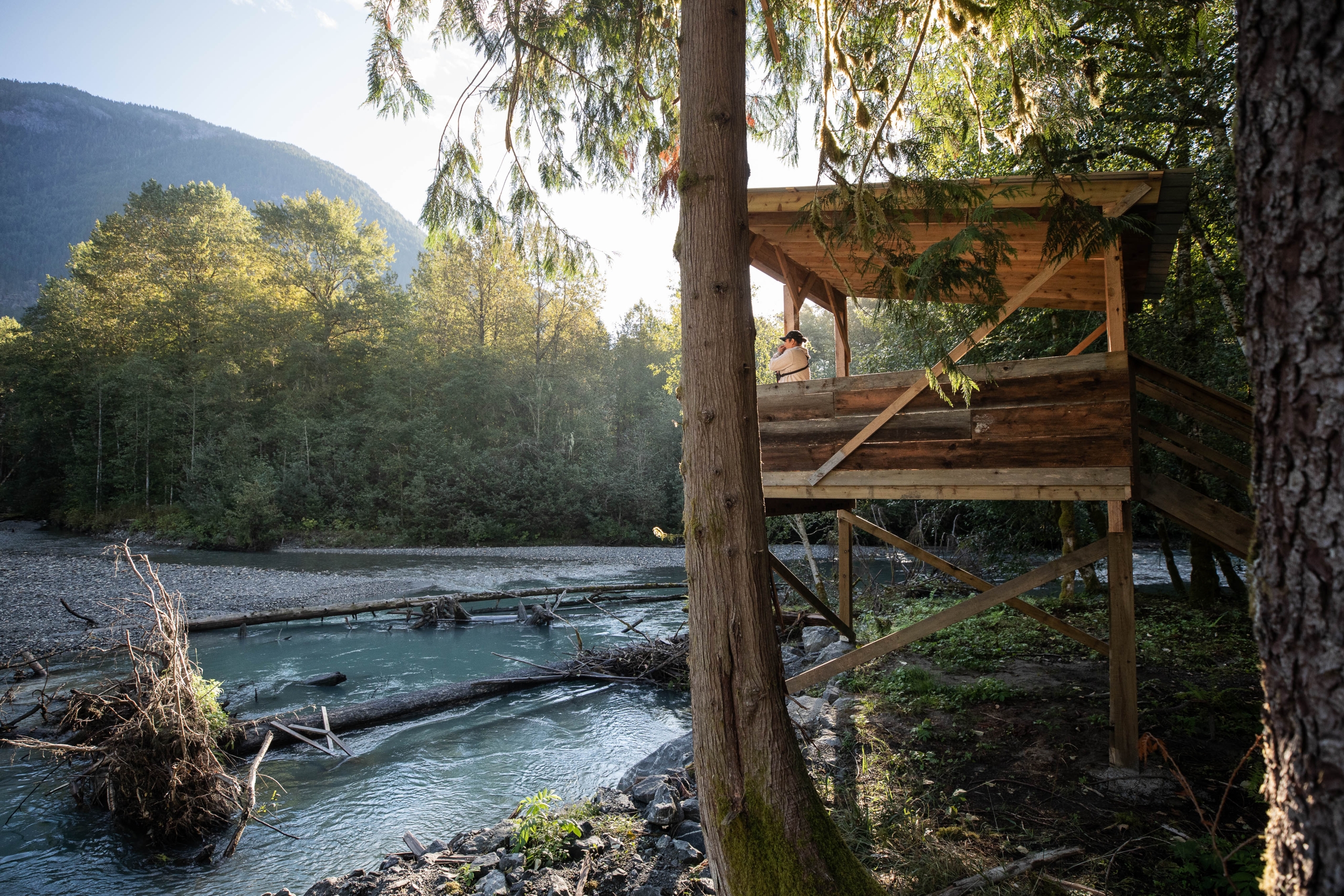 Grizzly Bear Viewing Platform at Klahoose Wilderness Resort