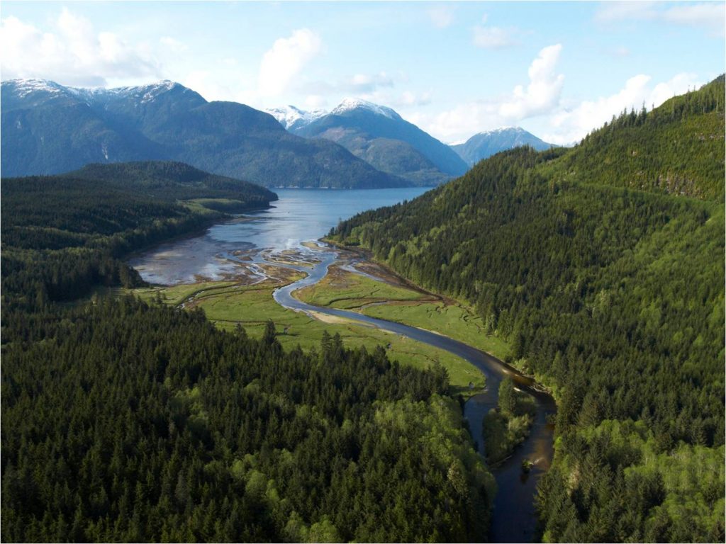 Aerial view of the mountains, forest and water in BC