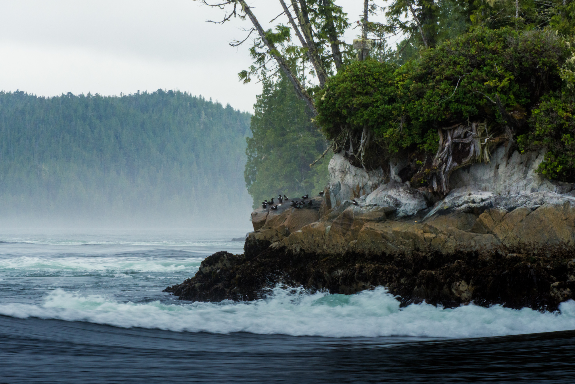 The edge of the water with the mountains in the background