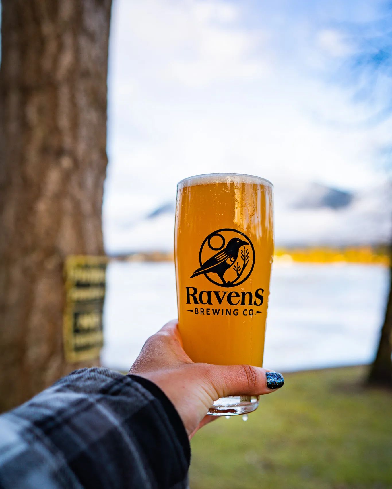 Person Holding Drink in front of mountain and water