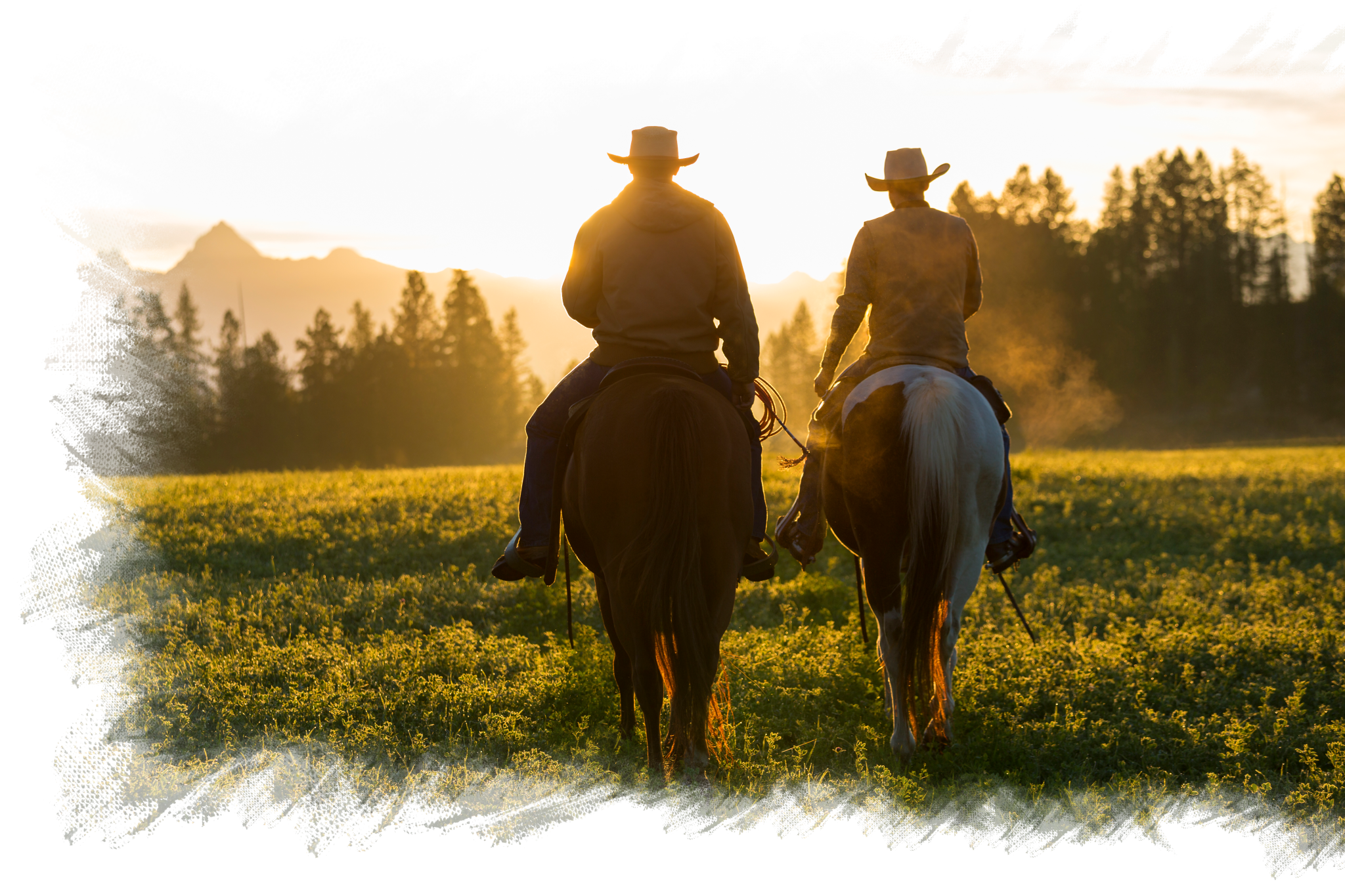 Trail Rides at Big Bar Guest Ranch