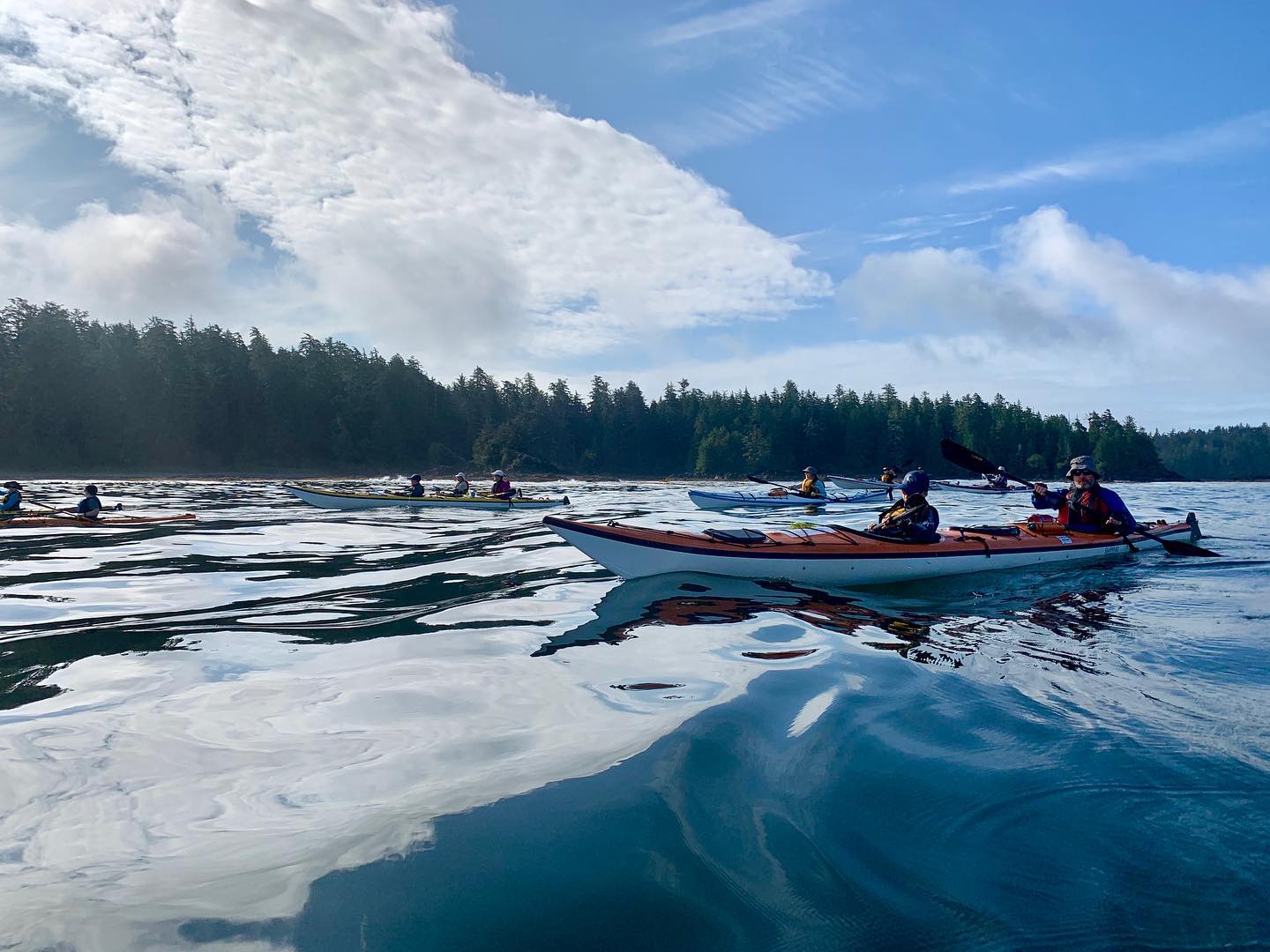 West Coast Expeditions - Vancouver Island Sea Tours