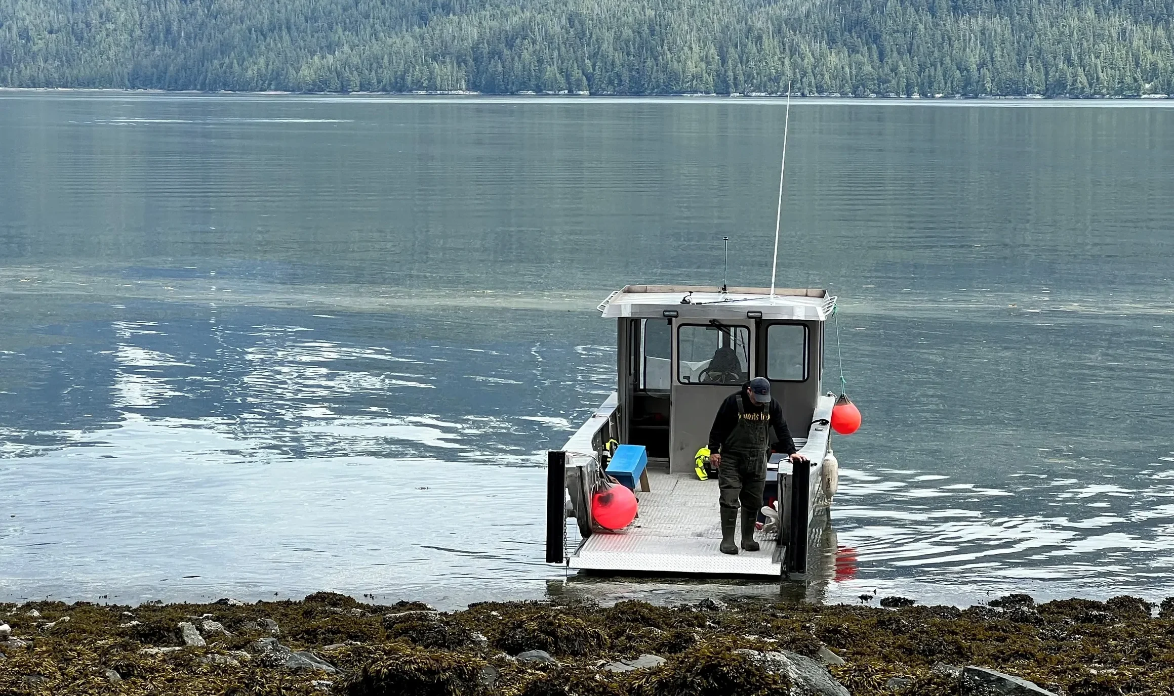 Boat from Northern Sunrise Charters