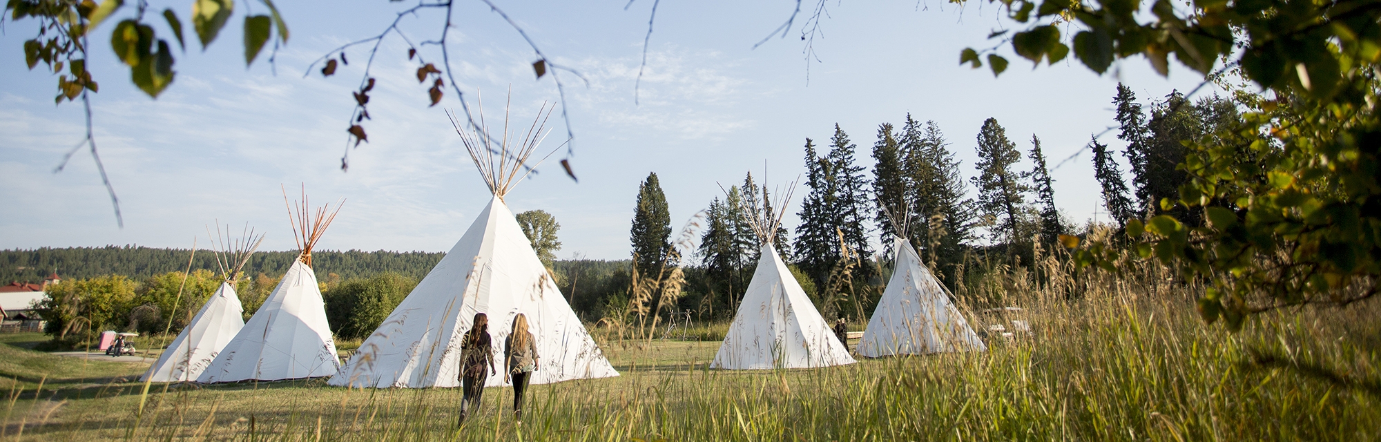 A collection of white teepees in a grassy field