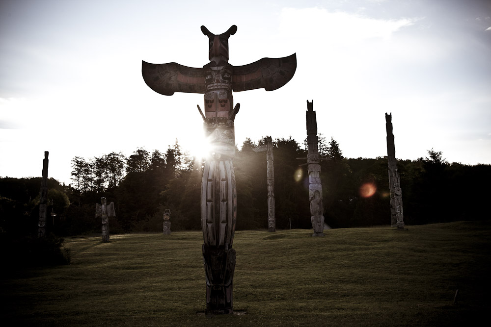 A collection of totem poles stand in a field while the sun shines in the background behind trees