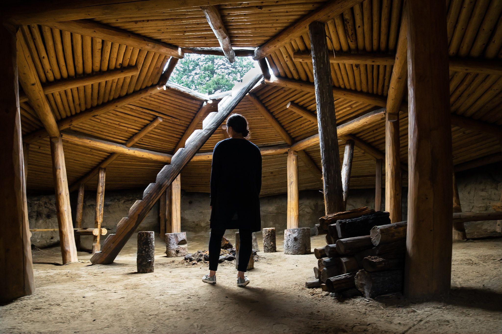 An interior view of a woman standing in a traditional Indigenous hut