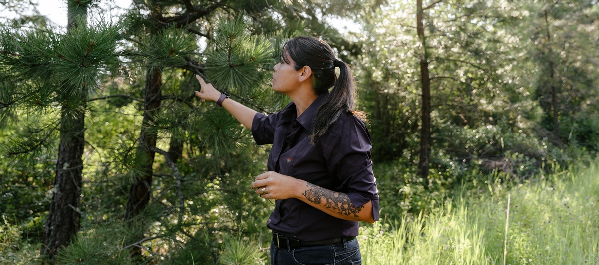 A woman touch a tree branch in the woods