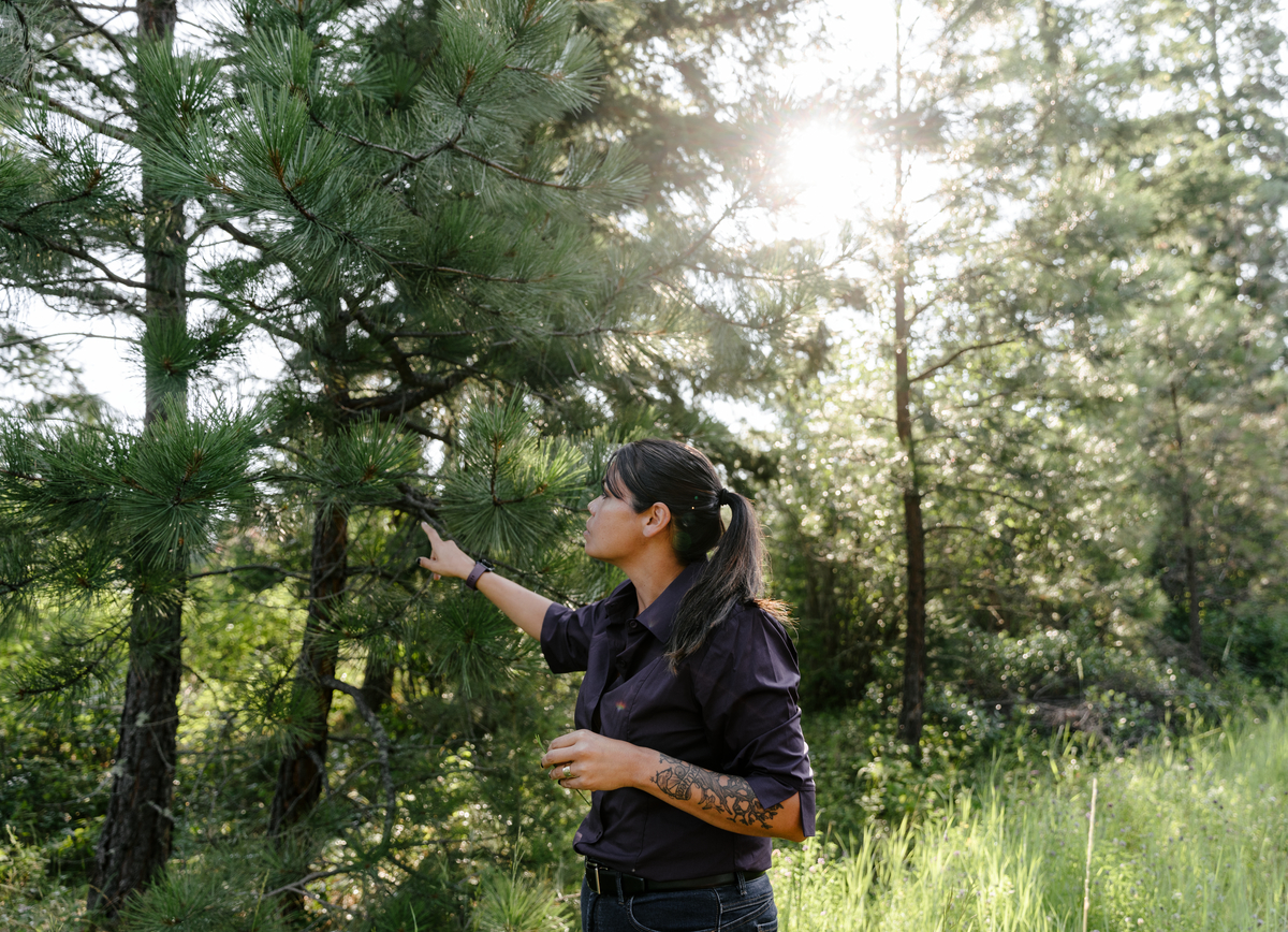 A woman touch a tree branch in the woods