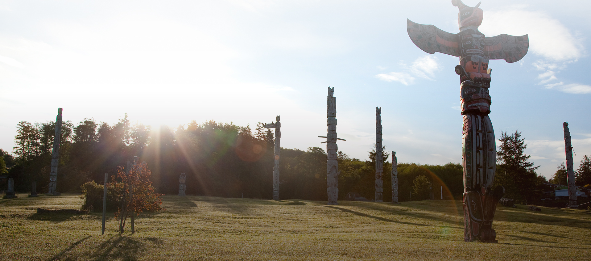 Yard with a bunch of Totem Poles