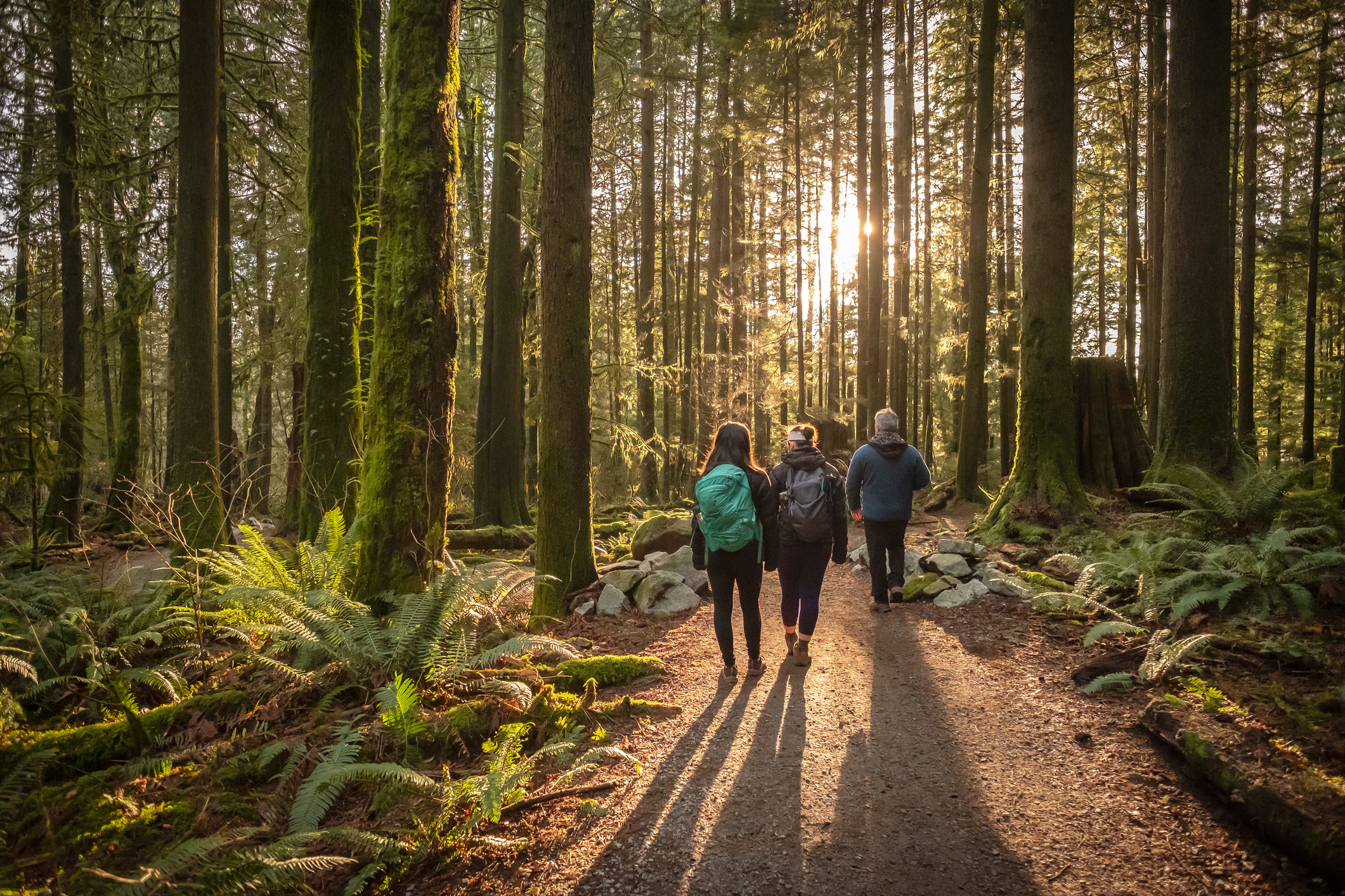 People walking in the woods