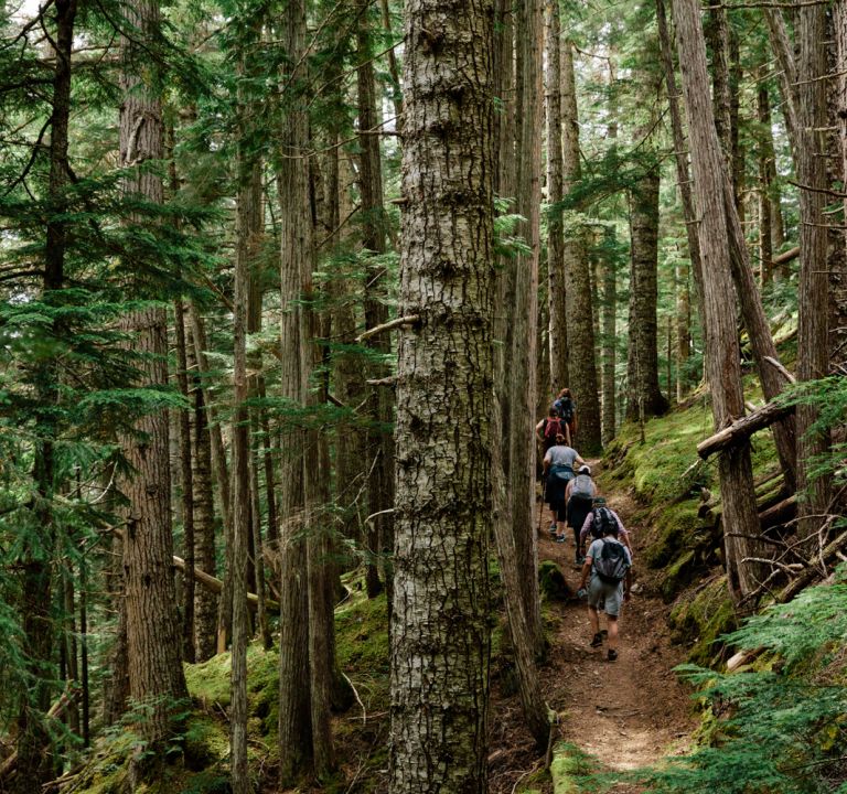 People hiking on a tour