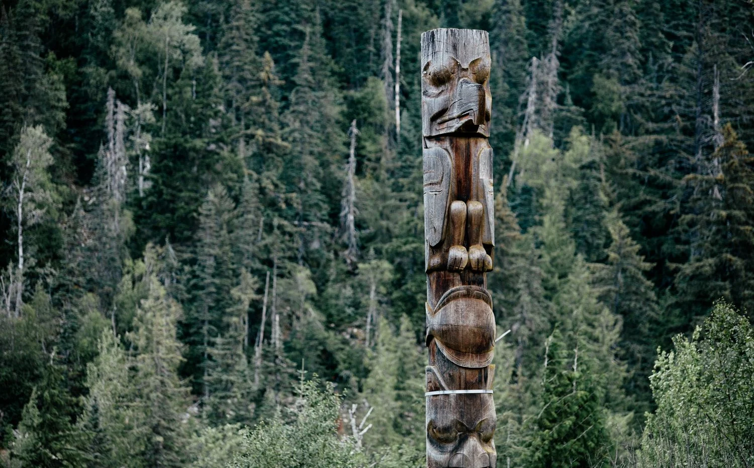 Totem Pole in the woods