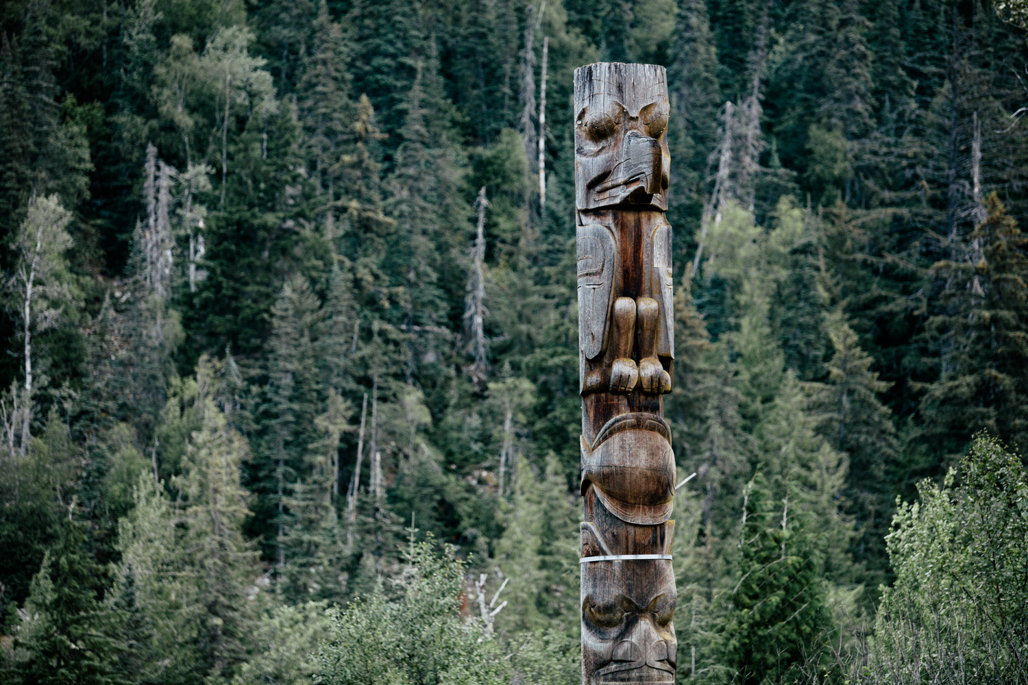 Gitwinksihlkw Totem pole