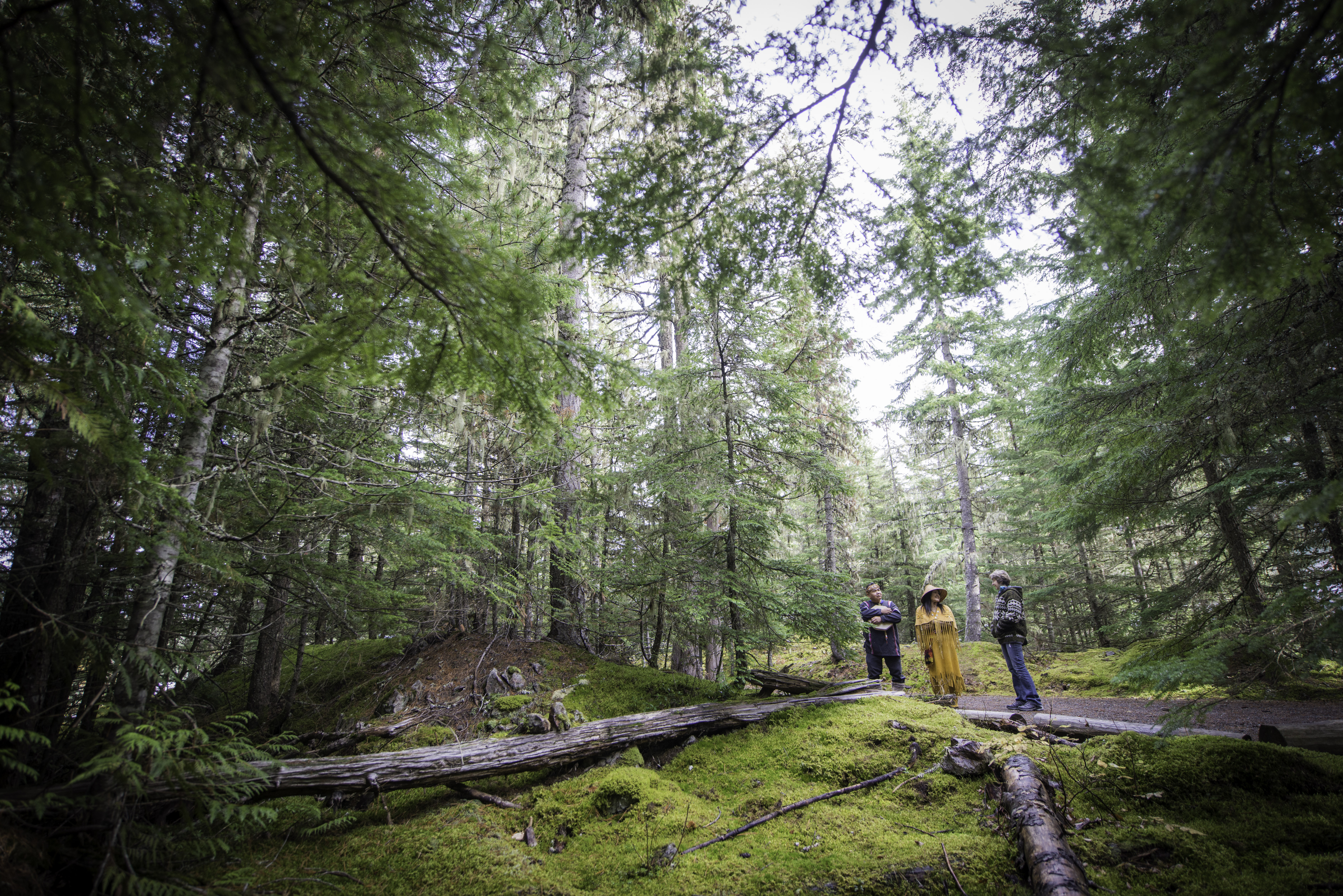 Three people in the woods