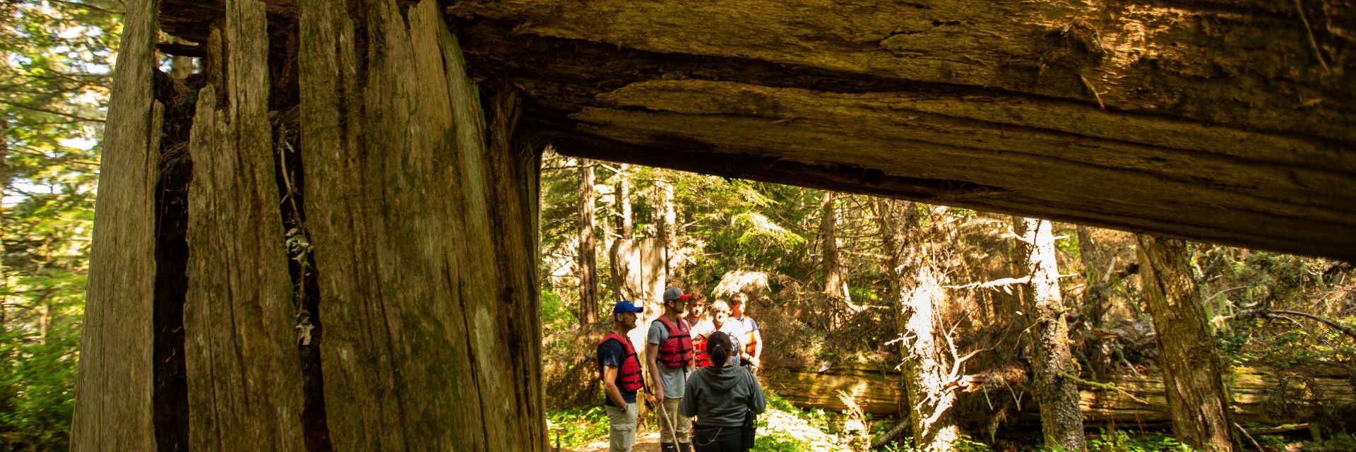 People exploring the big house ruins in the woods