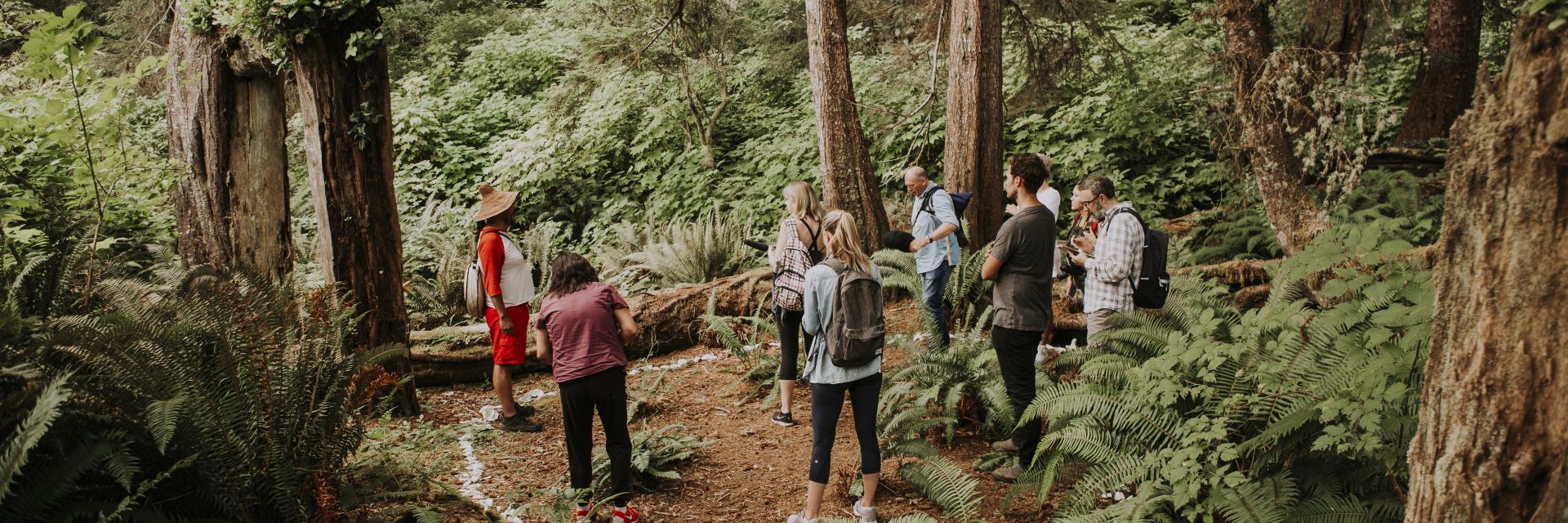 People gathered in the forest.